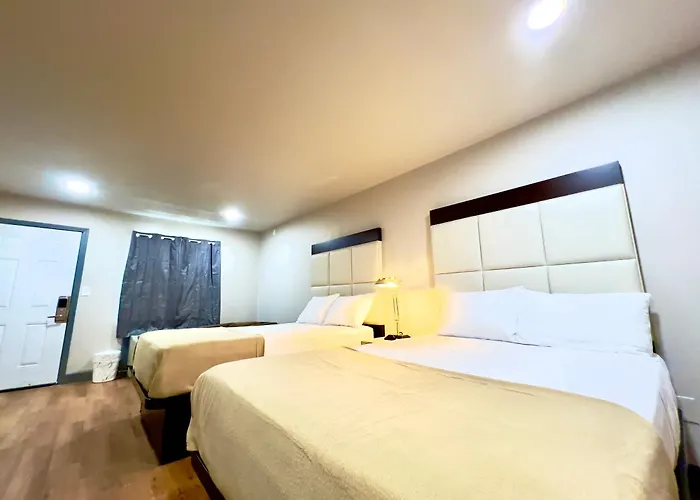 Hotel Economy And 5*